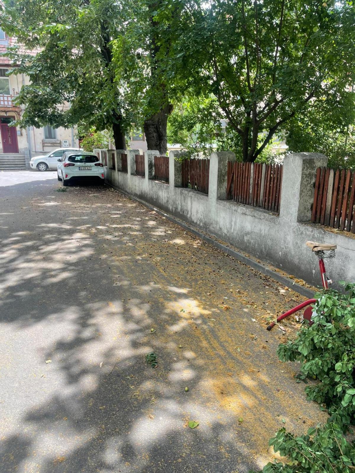 Prime 4 * Bukarest